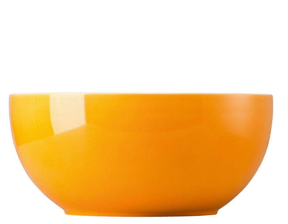 Thomas Sunny Day Orange Schüssel 21 cm