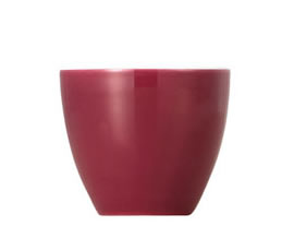 Thomas Sunny Day Fuchsia Eierbecher