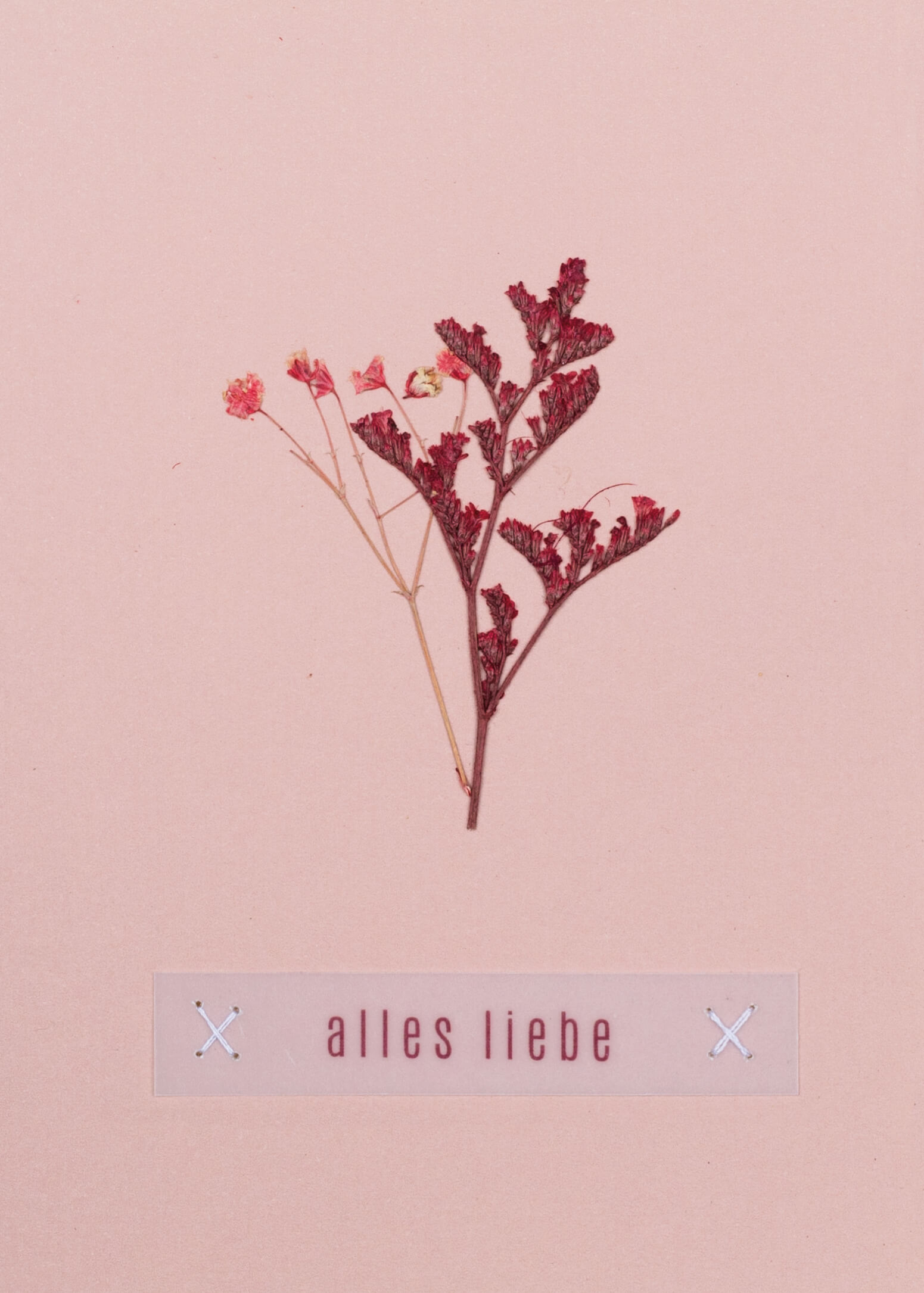 Artikelabbildung