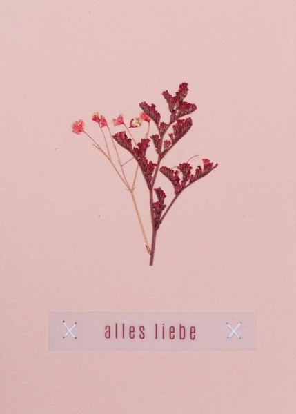 Artikelabbildung